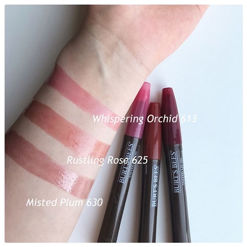 Burt’s Bees Tinted Lip Oil Review & Swatches Editional Beauty