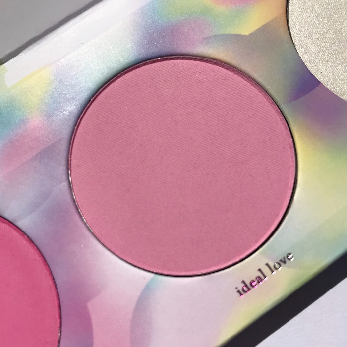 Zoeva Sweet Glamour Blush Palette Review & Photos (Ideal Love)